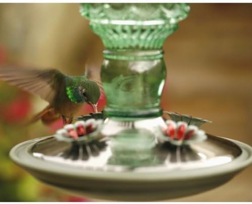 Perky-Pet Glass Bottle Hummingbird Feeder - Outdoor Garden Décor Humming bird Feeder, 8108-1SR - 10 Fl Oz Nectar Capacity - Durable Green Antique Design - Hang from Tree, Porch, Deck, Hook
