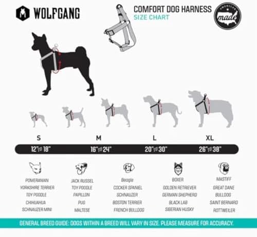 Wolfgang Heavy Duty Adjustable Dog Harness, Pull-Tested to Over 800 lbs for Walking & Training, DigiFloral Print, Extra Large