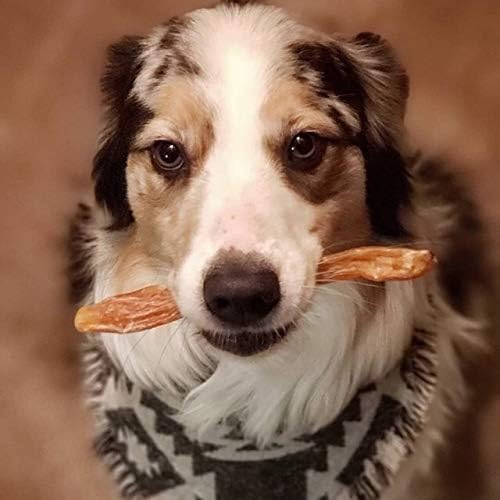 Beef Tendons for Dogs - 6-10 Inch Grass Fed Farm-Raised American Treats. All Natural Dental Chews. Grain Free Odor-Free (5 Count)