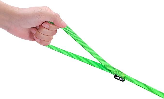 AMAGOOD 6 FT Puppy/Dog Leash, Strong and Durable Traditional Style Leash with Easy to Use Collar Hook,Dog Lead Great for Small and Medium and Large (Green,5/8" x 6 Feet)