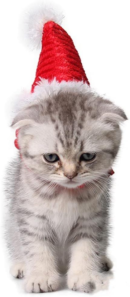 Guinea Pig Santa Hat,Kitten Bunny Hamster Chinchilla Hedgehog Ferrets Squirrel Christmas Hat Stripe Santa Claus Cap Party Hat for Small Animals (X-Small)