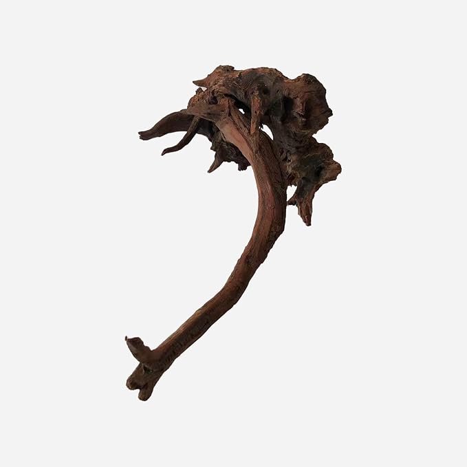 LYPHARD AQUARIUMS Natural Driftwood for Aquarium Decor, L19.69×W11.81×H7.87 Inches Large Drift Wood Decorations for Reptile Hide, Fish Tank, Optional Shapes