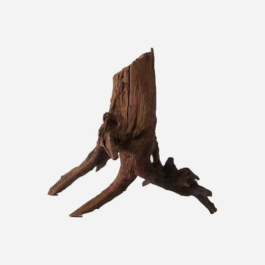 LYPHARD AQUARIUMS Natural Driftwood for Aquarium Decor, L15.75×W8.66×H13.78 Inches Large Drift Wood Decorations for Reptile Hide, Fish Tank, Optional Shapes