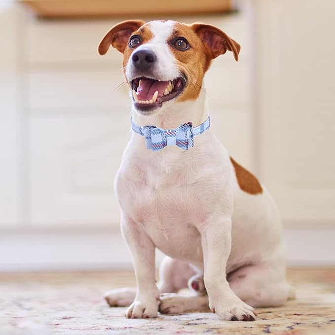KOOLTAIL Small Dog Collar and Leash Set with Bowtie and Bells - Puppy Collar and Leash for Male with Classic Plaid Matching Pattern, Soft Leather Tangle Free Leashes for Small Dogs Boys Girls, Blue