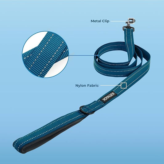 Best Pet Supplies Voyager Reflective Dog Leash or Collar with Neoprene Handle, for Small, Medium, and Large Breed Puppies, Cute and Heavy Duty for Walking, Running and Training - Blue (Leash), M