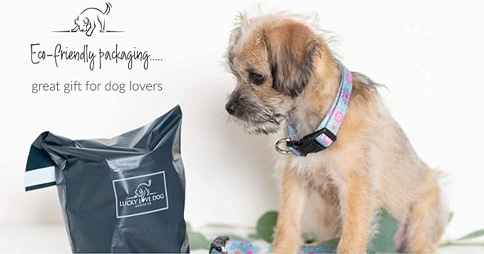 Lucky Love Dog, Boho Chic Matching Dog Collar and Leash Set, Vivid Pink and Turquoise Collar and Leash for Dogs, Soft, Adjustable, Safe for Training and Walking - (Medium, Clara Combo)