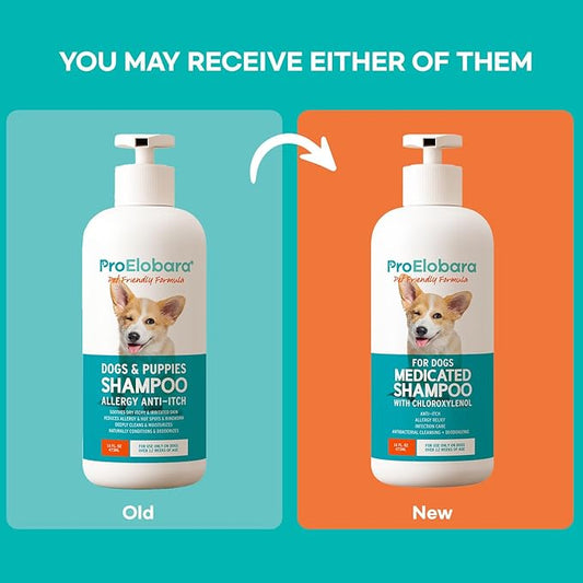 Medicated Dog Shampoo for Itchy Relief: Yeast Skin Infections and Bacterial Treatment for Dogs - Helps Hot Spots, Deodorizing, Allergy Relief - Healthy Skin & Coat - Antifungal Dog Shampoo 16 oz