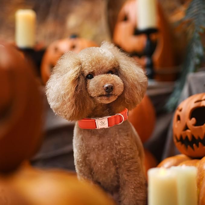 Elegant little tail Leather Dog Collar and Leash, Girl or Boy Durable Pet Collar, Fall Dog Collar Adjustable Dog Collars for Large Dogs