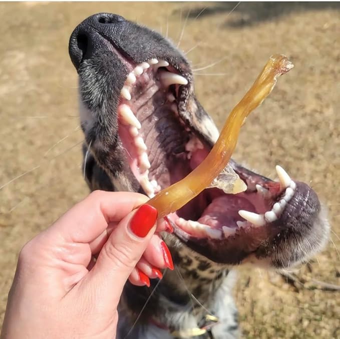 Beef Tendons for Dogs - 6-10 Inch Grass Fed Farm-Raised American Treats. All Natural Dental Chews. Grain Free Odor-Free (5 Count)