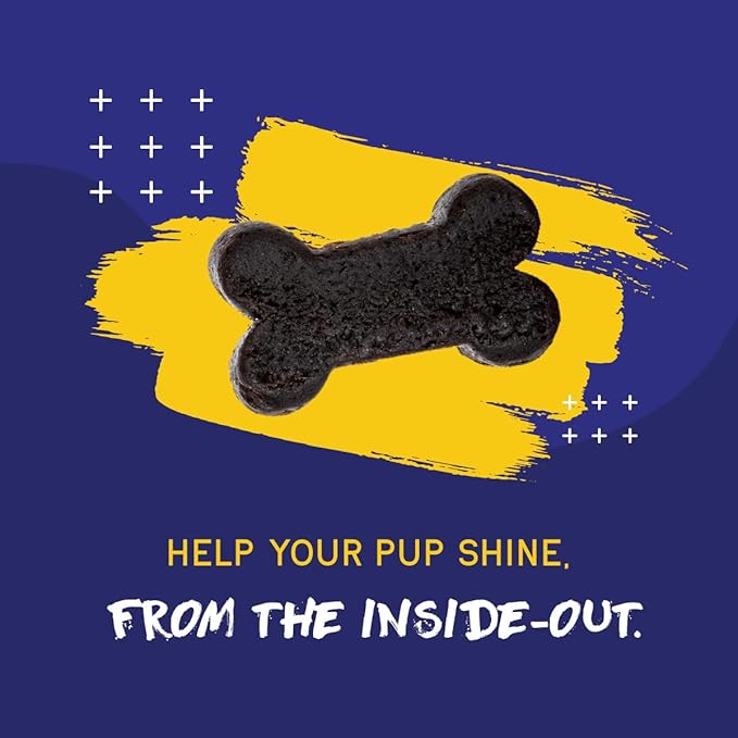 PupGrade Skin & Coat Soft Chew Supplement for Dogs – Supports Healthy Skin, Coat, and Immune Function - Rich in Natural Fish Oil, Omega Fatty Acids, and Vitamins – 180 Soft Chews