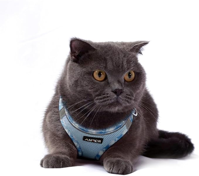 AMTOR Small Dog Harness with Leash Set, No Escape Easy Walk Puppy Harnesses for Training Walking, Step-in Reflective Soft Dogs Vest for XS S Medium Extra-Small Large Sized Dog(XS Size,Blue/White)