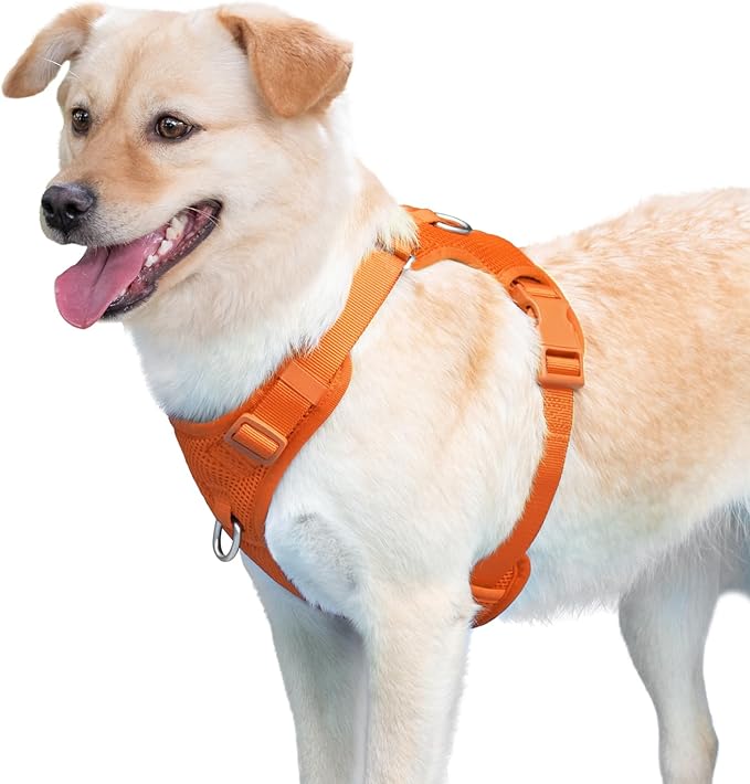 No Pull Dog Harness for Small Medium Large Dogs - Adjustable 2 Layer Mesh Dog Vest with Dual Clip, Escape Proof, Quick Release, Lightweight Breathable Mesh for Walking Hiking (Orange,M)