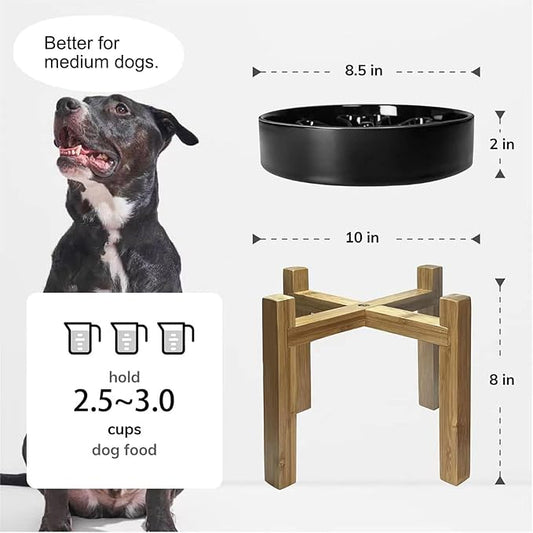 Slow Feeder,Ceramic-Slow Feeder Dog Bowls Elevated for Medium and Large Breed,2.5 Cups Slow Feed Dog Bowl with Stand,Black