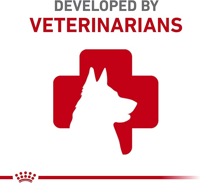Royal Canin Breed Health Nutrition Dachshund Adult Loaf in Sauce Wet Dog Food, 3 oz can (24-Count)