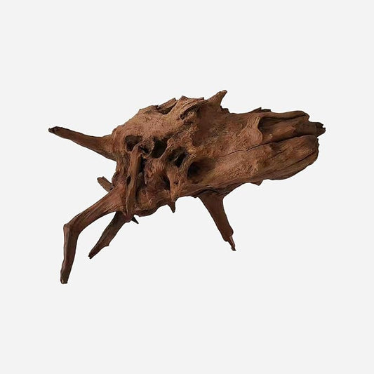 LYPHARD AQUARIUMS Natural Driftwood for Aquarium Decor, L15.75×W14.17×H9.84 Inches Large Drift Wood Decorations for Reptile Hide, Fish Tank, Optional Shapes