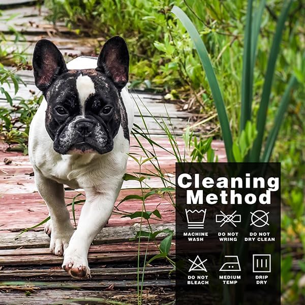 Paiaite Dog Clothes Fashionable Sleeveless Pet Vest: 'Little Miss Sassy' Printed Cotton Dog Shirt, Ideal for Small, Medium, and Large Breeds, Ensuring Comfort and Breathability Green M