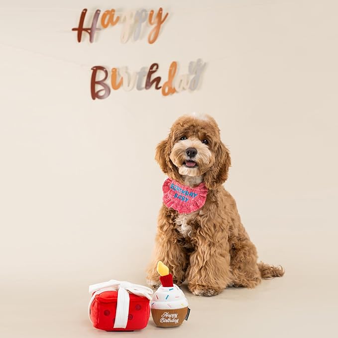 CHEWFFON Dog Birthday Toy, Interactive Snuffle Treat Dispensing Puzzle Toy with Gift Box Design, Squeaky & Crinkle Plush Dog Toys, Suitable for All Breeds