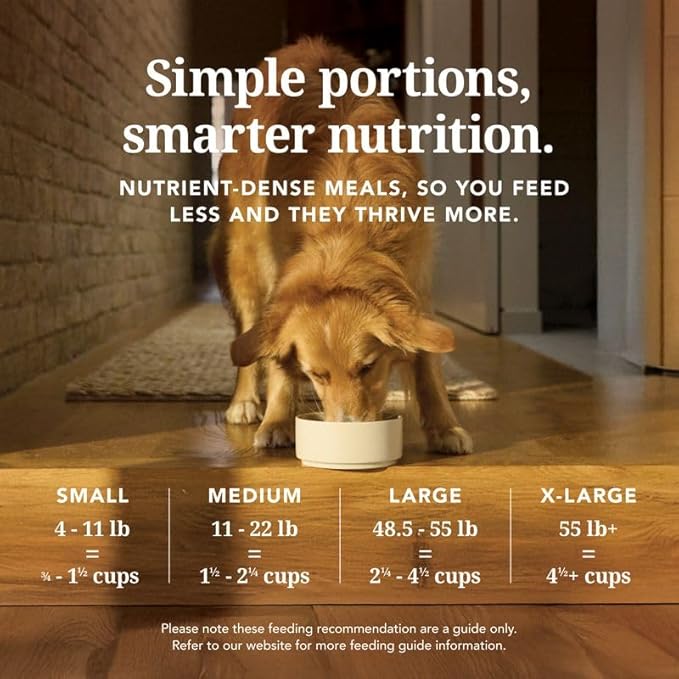 K9 Natural Grain-Free Freeze-Dried Dog Food Chicken 1.1lb