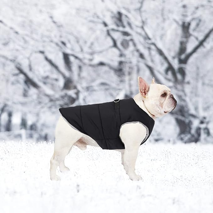 Dog Bulldog Clothes Dog Cotton Padded Coat Thick Winter Warm Vest Waistcoat Cold Weather Clothing for French Bulldog-Black-L