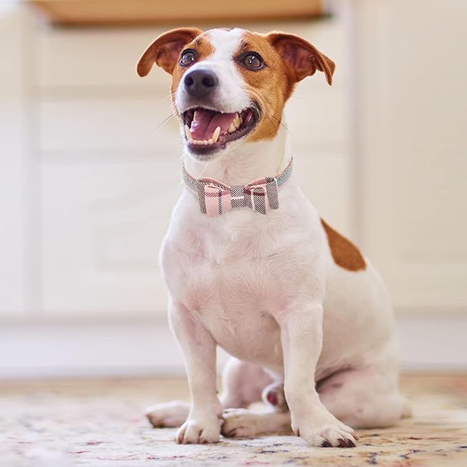 KOOLTAIL Pink Girl Dog Collar and Leash Set for Small Dogs with Bowtie and Bells - Puppy Collar and Leash with Classic Plaid Matching Pattern, Soft Leather Tangle Free Leashes for Small Dogs