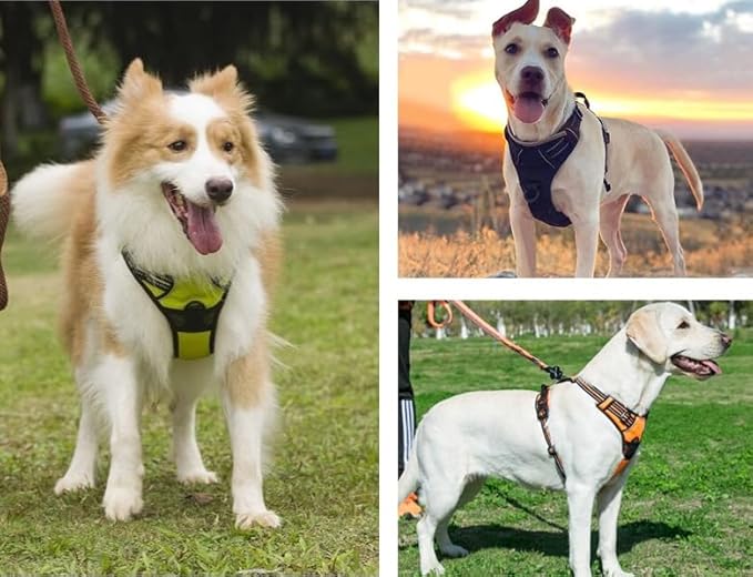 PawSafety No Pull Dog Harness