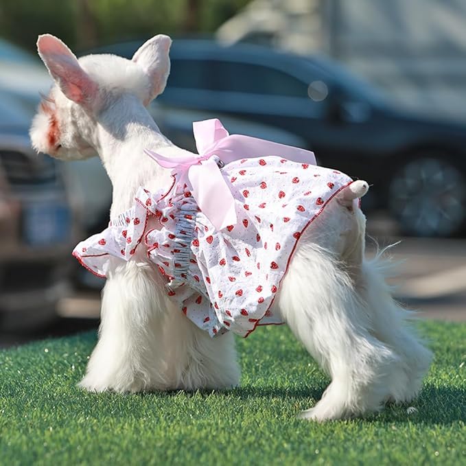 ANIAC Strawberry Dog Dress for Small Medium Dog Cotton Puppy Clothes Girl Dog Princess Dress Sleeveless Cat Outfit Bow Summer Pet Clothing (Strawberry, Large)