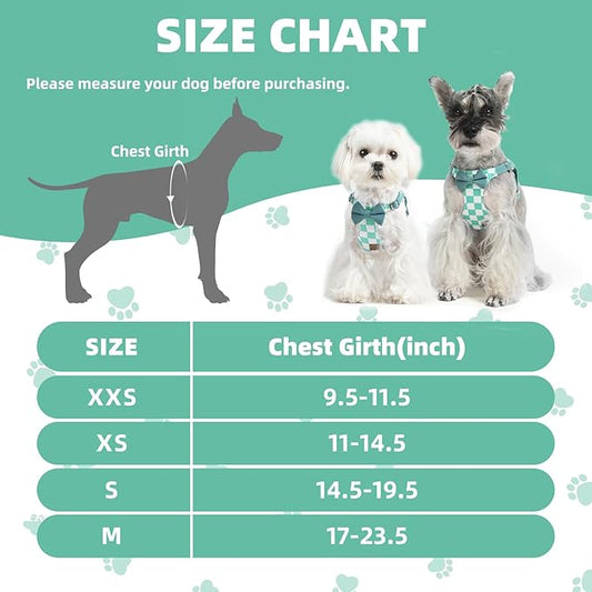 PUPTECK Dog Harness and Leash Set Small Sized, Step-in Cute Puppy Harness, Soft Lightweight Padded Vest, Escape Proof No Pull Pet Harnesses Easy for Walking, Plaid Green & White, XXS