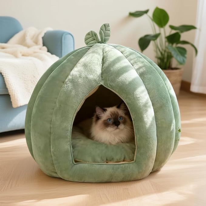 Cat Bed for Indoor Cats 2026 New Model Cat Cave Beds Cat House Cat Tent with Removable Washable Cushioned Pillow, Soft Kitten beds,Cat Beds & Furniture, for Small Pet Bed