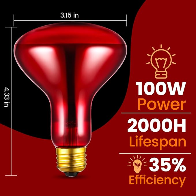 Dual Reptile Lamp Fixture with 100W Daytime Heat & 100W Nighttime Infrared Heat Bulbs, 2 Independent Switches, Reptile Heat Lamp Combo Pack - No UVB