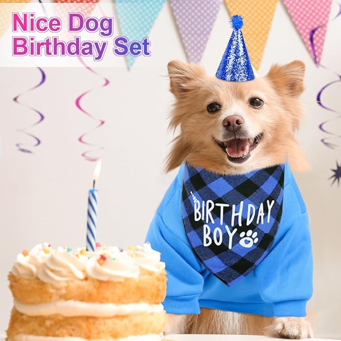 GreenJoy Dog Birthday Party Outfit Decoration Set Supplies - Birthday Bandana, Sweater & Party Hat Gift for Small, Medium & Extra Large Dogs Girl and Boy (Medium, Birthday Blue)