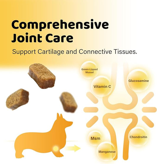 iPaw Hip and Joint Care Pro Dog Chews, Dog Joint Supplement, Glucosamine and Chondroitin Treats, Made in USA, Duck Flavor (60 Chews)