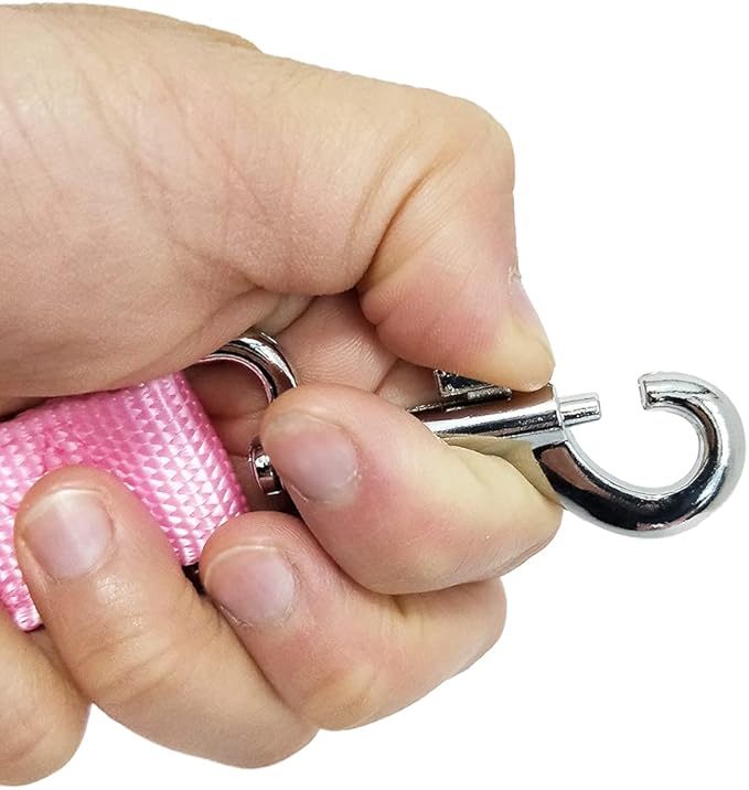 Nylon Dog Training Leash, Traction Rope, 4Ft /5 Foot /6 Feet Long, 5/8 inch 3/4 Inch 1 Inch Wide, for Small and Medium Dogs (1'' x 12 FT, Pink)