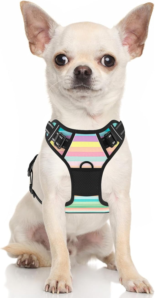 Rnivvi No Pull Dog Harness, Cute Reflective Extra Small Sized Puppy Harness, Adjustable Soft Padded Vest for Small Dogs, Cats, Heavy Duty Pet Vest with Easy Control Handle for Walking, Watercolor