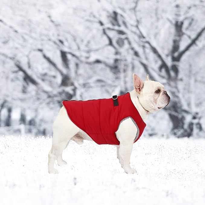 Geyecete Dog Bulldog Clothes Dog Cotton Padded Coat Thick Winter Warm Vest Waistcoat Cold Weather Jacket Clothing for French Bulldog Coat-Red-L