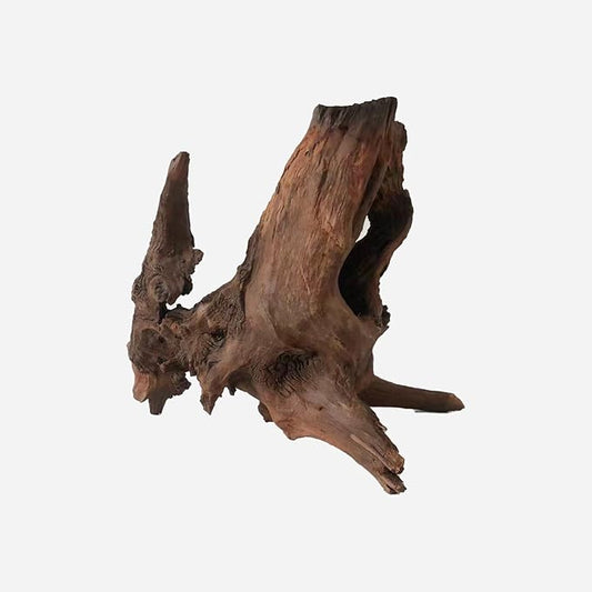 LYPHARD AQUARIUMS Natural Driftwood for Aquarium Decor, L13.78×W10.24×H9.84 Inches Large Drift Wood Decorations for Reptile Hide, Fish Tank, Optional Shapes