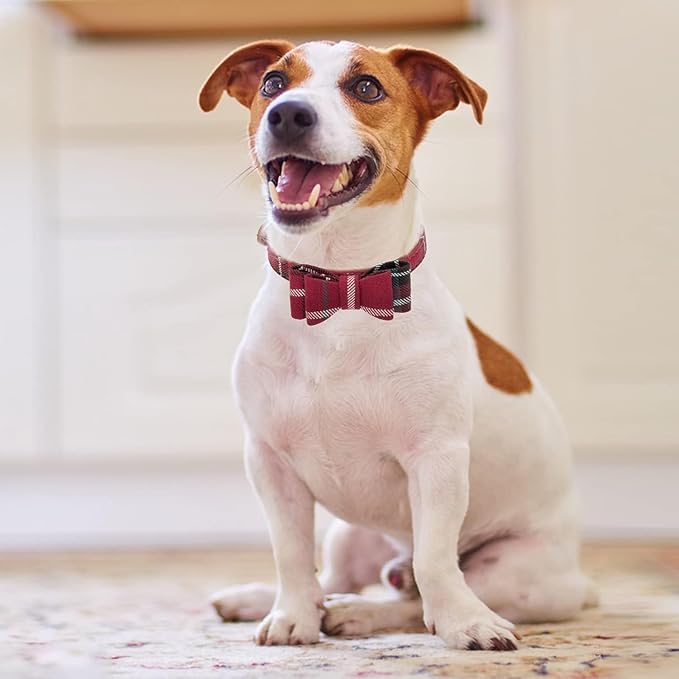 KOOLTAIL Small Dog Collar and Leash Set with Bowtie and Bells - Puppy Collar and Leash for Female with Classic Plaid Matching Pattern, Soft Leather Tangle Free Leashes for Small Dogs Boys Girls, Red