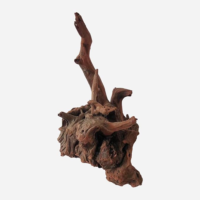 LYPHARD AQUARIUMS Natural Driftwood for Aquarium Decor, L11.81×W11.02×H15.75 Inches Large Drift Wood Decorations for Reptile Hide, Fish Tank, Optional Shapes