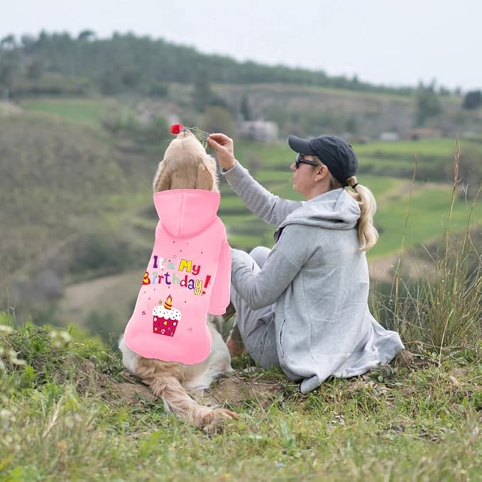 GreenJoy Dog Sweater Dog Hoodie Cold Weather Coat Hooded Sweatshirt for Puppies,Cats, Small Medium Large Dogs (Pink(It's My Birthday), X-Small)