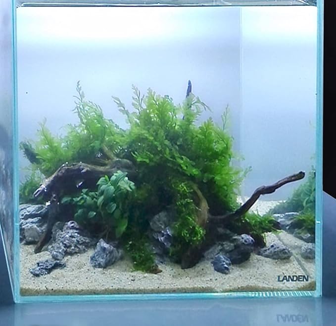 LANDEN Namale Aquarium Sand 2L(Approx 7 lbs), Super Natural Sand for Aquarium Landscaping, Cosmetic Sand for Fish Tank, Fine Grain Substrate for Freshwater or Blackwater Biotope Tank