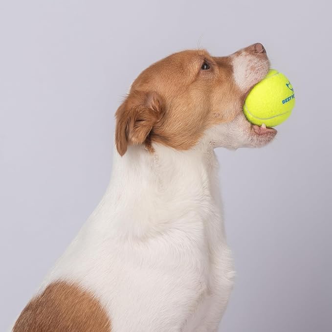 Best Pet Supplies Interactive Squeaky Dog Chew Toy, Ideal Dog Toys for Chewers, Small, Medium & Large Dogs, and Fetch Lovers - Tennis (Yellow), Medium (Pack of 4)