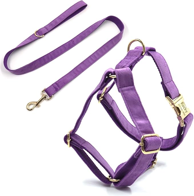 Personalized Velvet Dog Collars with Pet Name Phone Number Engraved, Custom Adjustable Soft Collar with Metal Buckle for Small Medium Large Dogs, Dog Leash and Bow Tie Available -Dark Purple