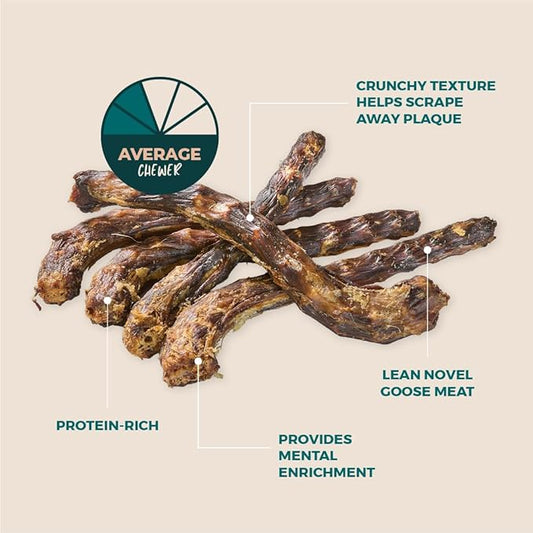 BULLY STICKS DIRECT Natural Goose (Geese) Necks for Dogs, Premium Protein-Rich Dog Chews, All Natural Dental Treats, Single Ingredient, 12 Pack