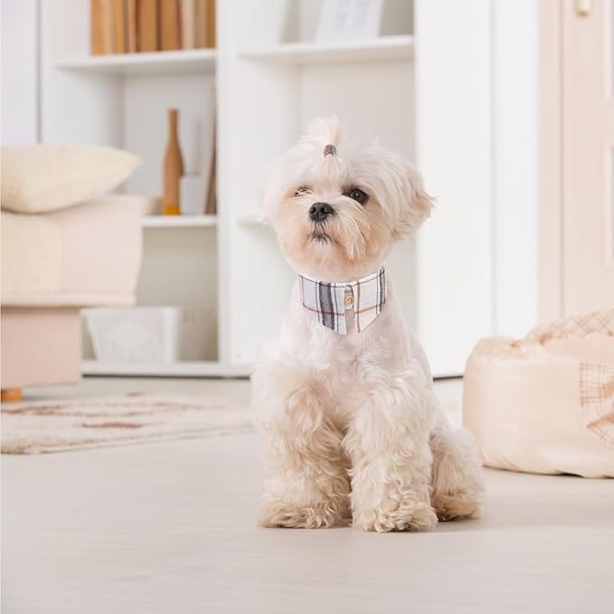 EXPAWLORER Dog Collar and Leash Set - Classic Plaid Medium Dog Collar with Bow Tie, Cute Collar and Leash Set, Adjustable Dog Collar for Medium Dogs Holiday Birthday Gifts, Beige Medium