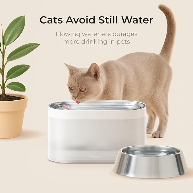 Petcube Pet Water Fountain | Automatic Wireless Fountain for Cats and Dogs with Stainless Steel Bowl, Easy to Clean, 4-Layer Filtration, in-App Filter Control, LED Light, Quiet Pump, Battery Operated