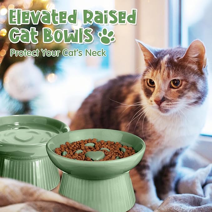 Tioncy 2 Pcs Raised Cat Slow Feeder Bowl Ceramic Elevated Cat Dog Food Bowl No Spill High Edge for Dry Wet Food and Water Easy to Clean, Dishwasher Safe(Sage Green)
