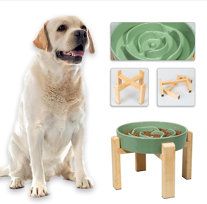 Elevated Slow Feeder Dog Bowl - Puzzle Maze Dish with Bamboo Stand - Raised Ceramic Food Bowl for Medium and Large Dogs - Green - 8.8 inch