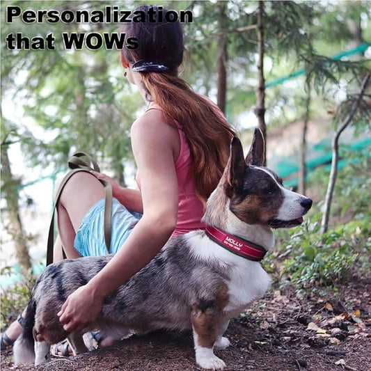 Personalized Dog Collar with Name and Phone Number | Durable Metal Buckle | Ultra Wide Soft Neoprene Padded | Adjustable Reflective Weatherproof Dog Collar for Large Medium and Small Dogs