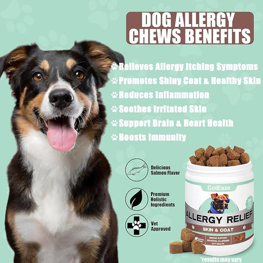 Dog Allergy Chews 200PCS Anti Itch Immune Treats Omega 3 Fish Oil Skin & Coat Supplement Dog Itching Relief with Probiotics Colostrum for Dry Skin Itching Licking Seasonal Allergies and Immune Support
