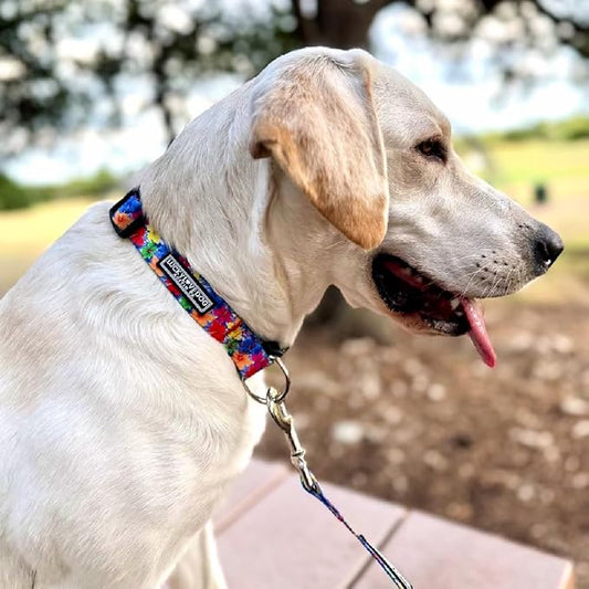 Lucky Love Dog - Easy Click Buckle Dog Collar with Leash Set Combo, Durable & Comfortable for Male & Female Dogs, Pet Collar for Small to Large Dogs, Secure Fit - Hana Combo, Small