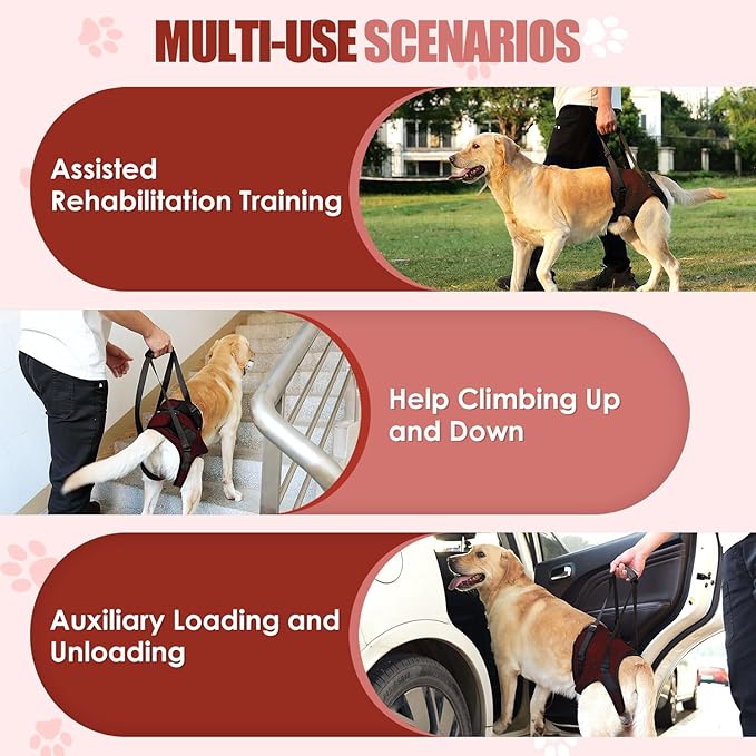 SlowTon Dog Lift Harness - Adjustable Dog Sling for Medium Large Dogs, Hind Leg Support to Help Rehabilitate, Soft Padded Dog Support Harness for Elderly, Injured, Arthritic, Disabled Dogs(R,S)